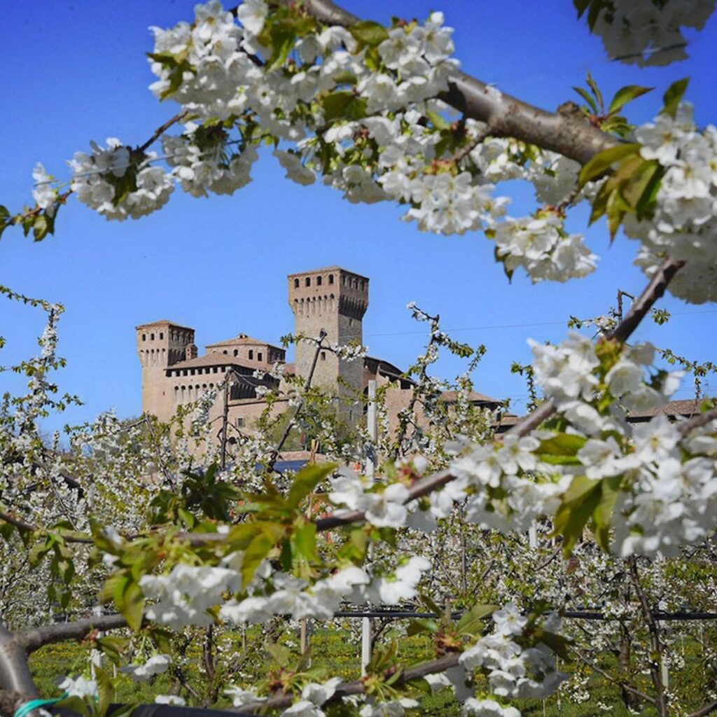 Castello Vignola